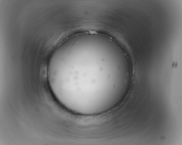 X0000113340021200909291041