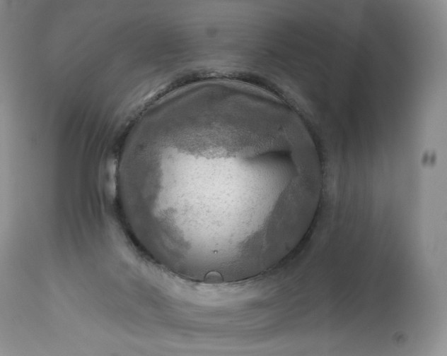 X0000113340022200909291041