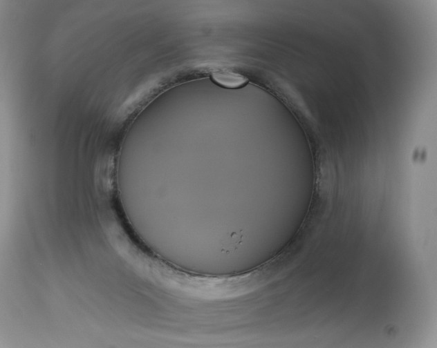 X0000113340023200909291041