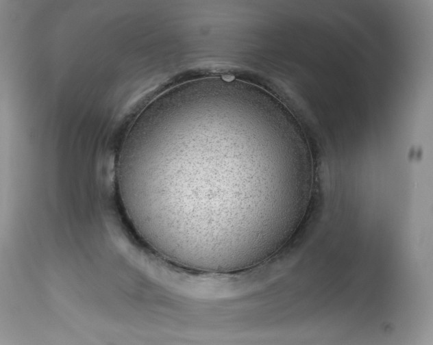 X0000113340024200909291041