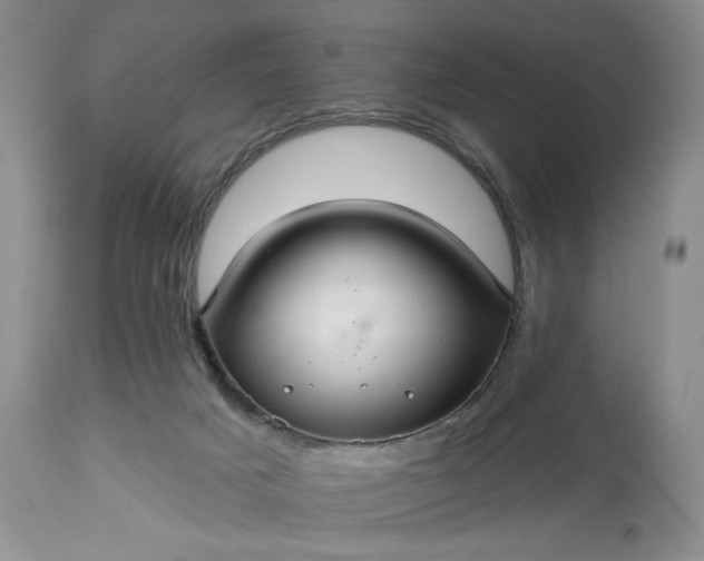 X0000113340025200909291041