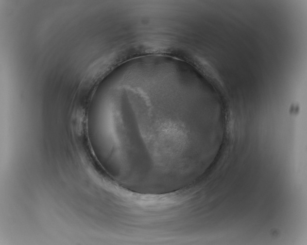 X0000113340026200909291041