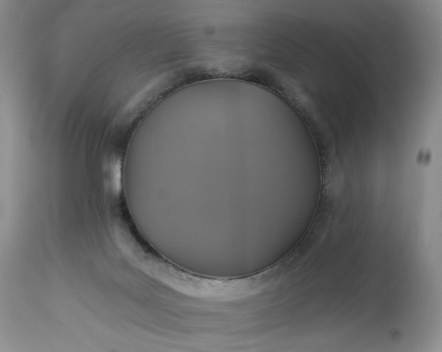 X0000113340027200909291041