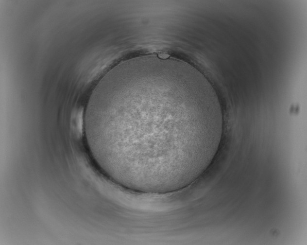 X0000113340028200909291041