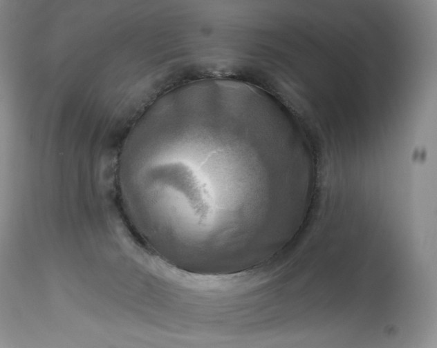 X0000113340030200909291041