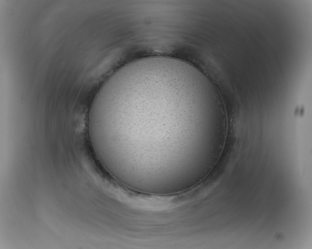 X0000113340032200909291041