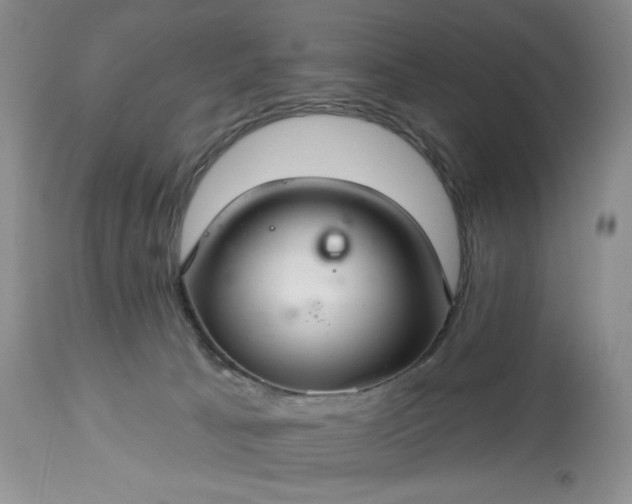 X0000113340033200909291041