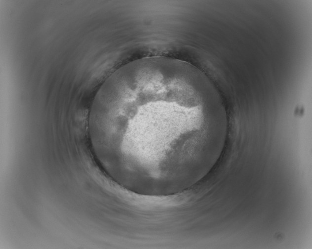 X0000113340034200909291041