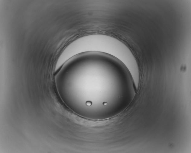 X0000113340035200909291041