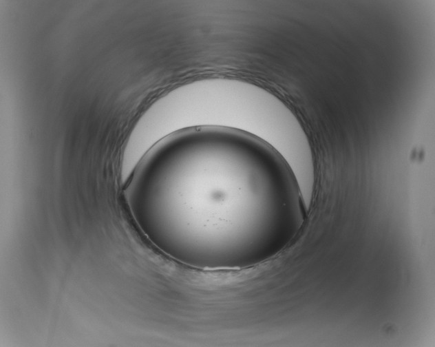 X0000113340037200909291040