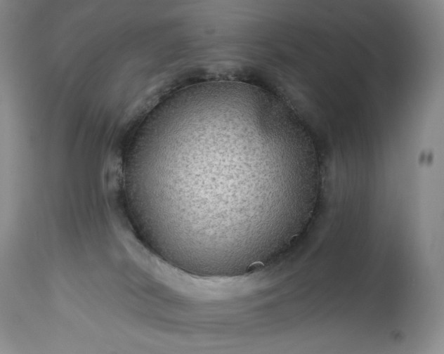 X0000113340038200909291040