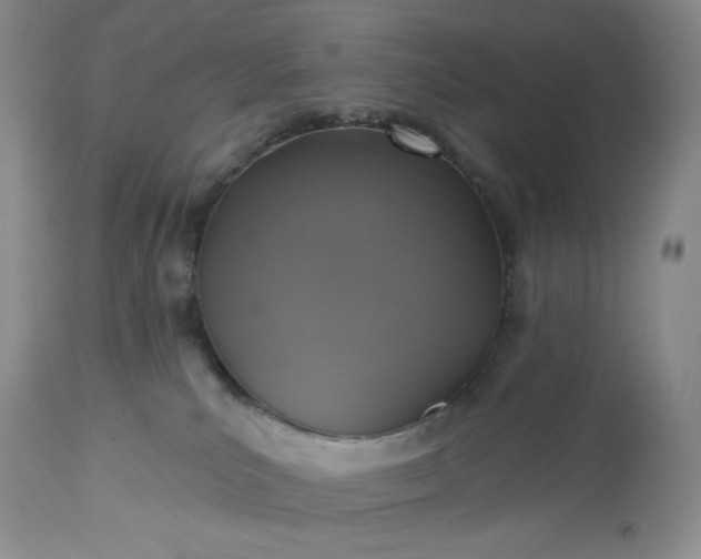 X0000113340039200909291040