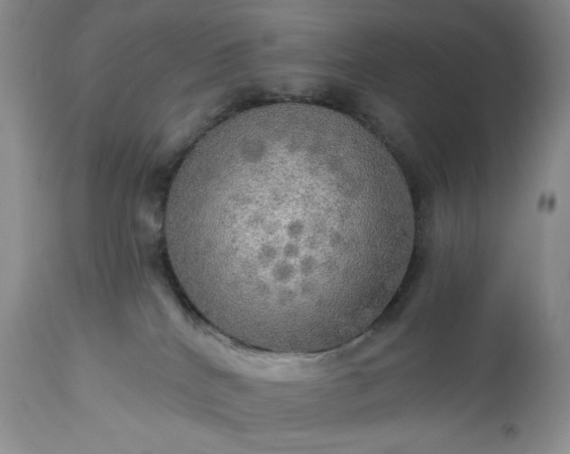 X0000113340040200909291040