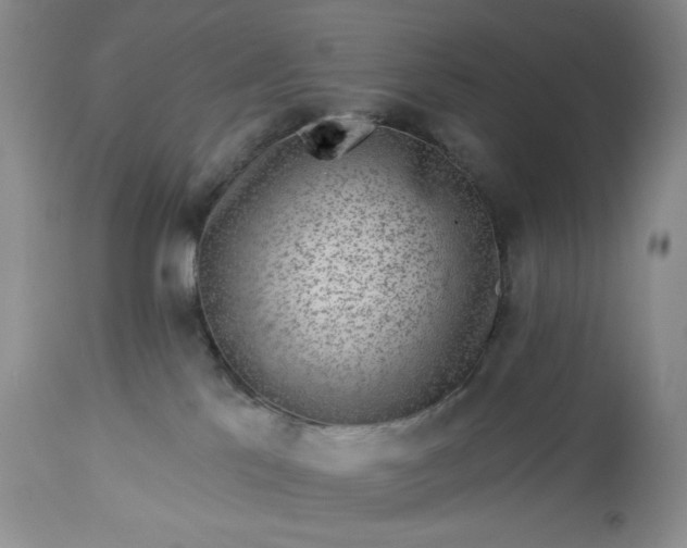 X0000113340041200909291040