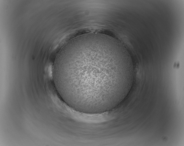 X0000113340042200909291040