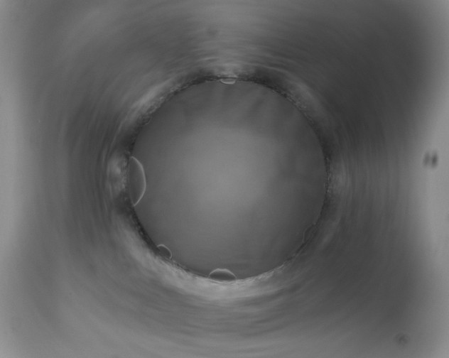 X0000113340043200909291040