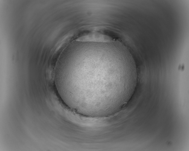 X0000113340044200909291040