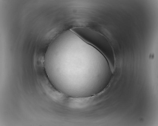 X0000113340045200909291040