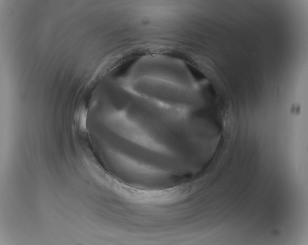 X0000113340046200909291040