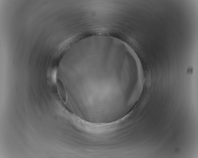 X0000113340047200909291040