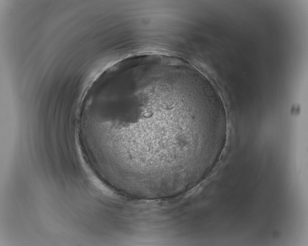 X0000113340049200909291040