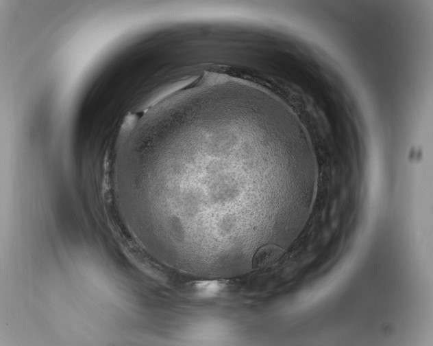 X0000113340050200909291040