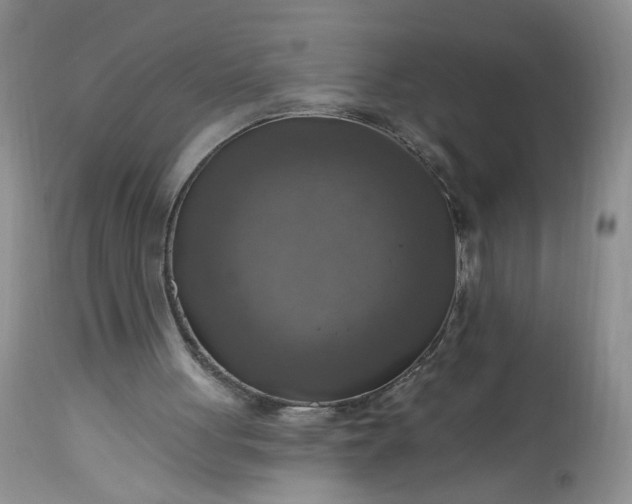 X0000113340051200909291040