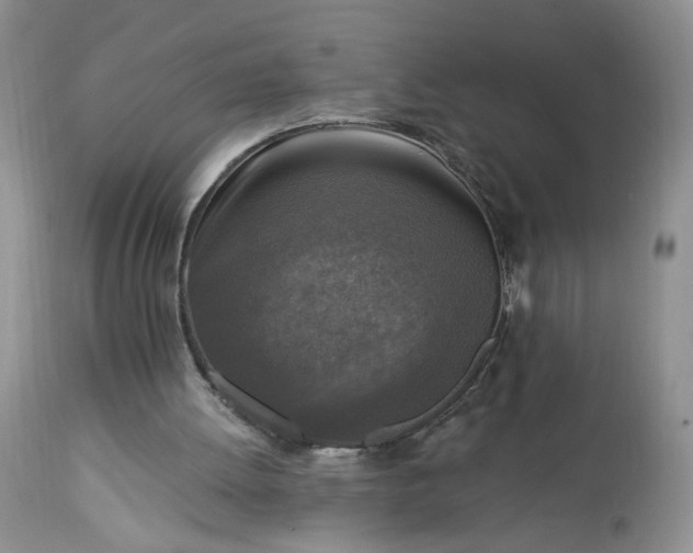 X0000113340052200909291040