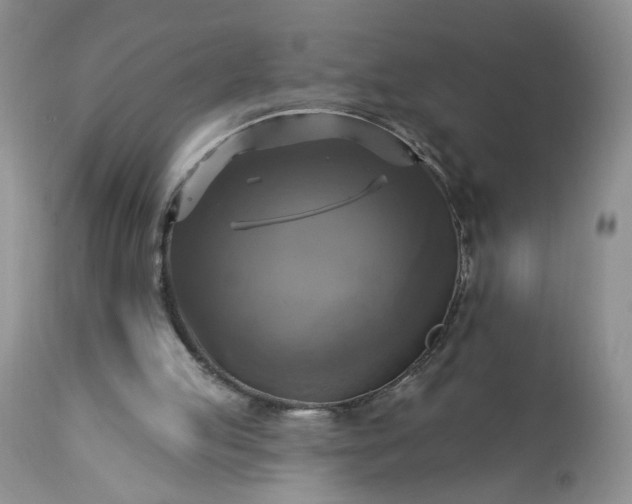 X0000113340053200909291040