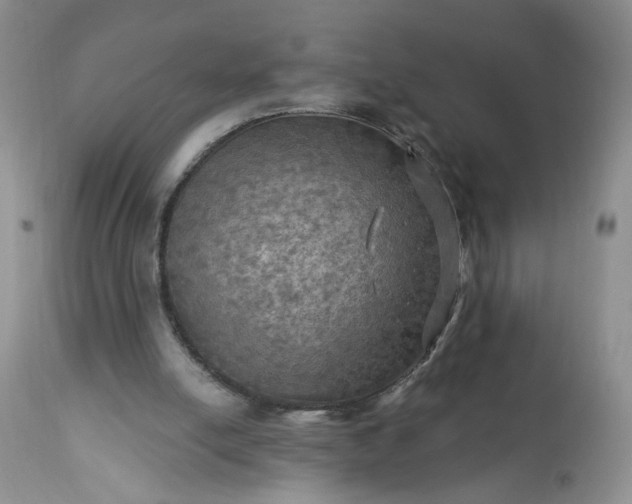 X0000113340054200909291040