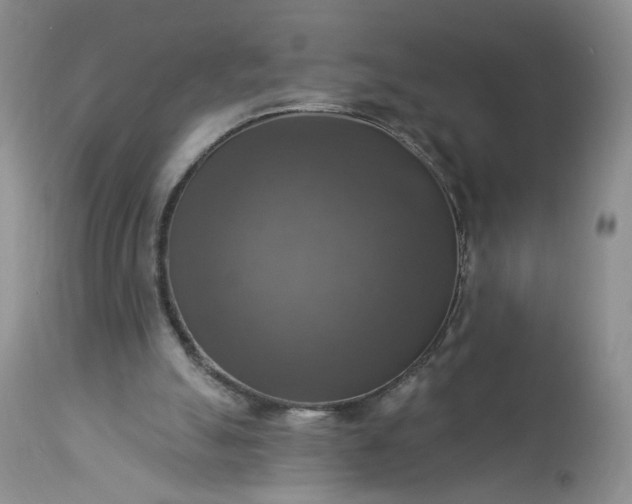 X0000113340055200909291040