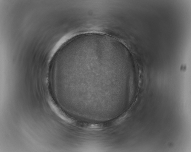 X0000113340056200909291040