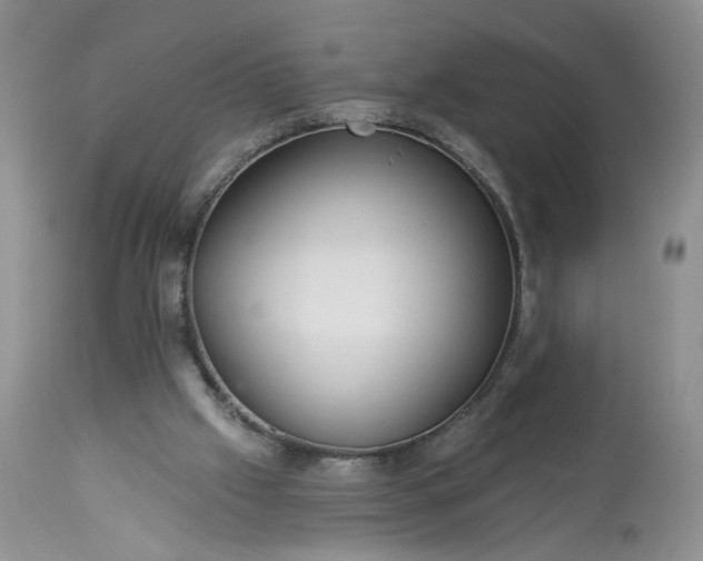 X0000113340057200909291040