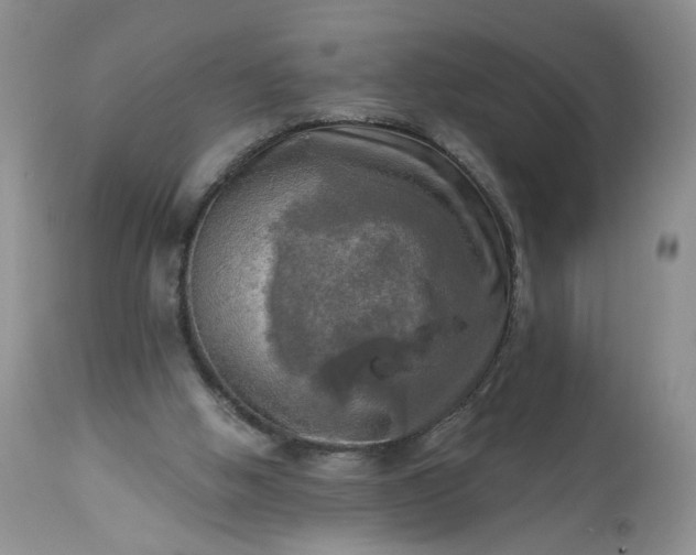 X0000113340058200909291040