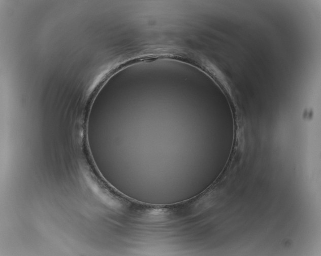 X0000113340059200909291040