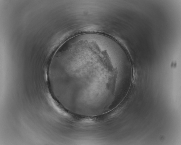 X0000113340061200909291040