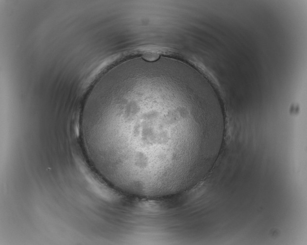 X0000113340062200909291040