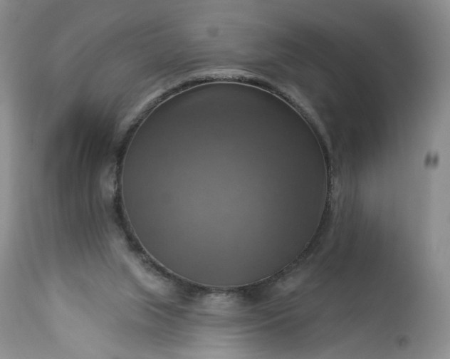 X0000113340063200909291040