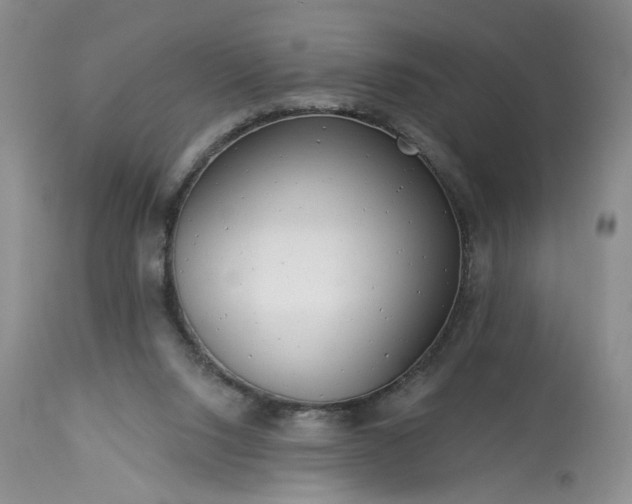 X0000113340064200909291040