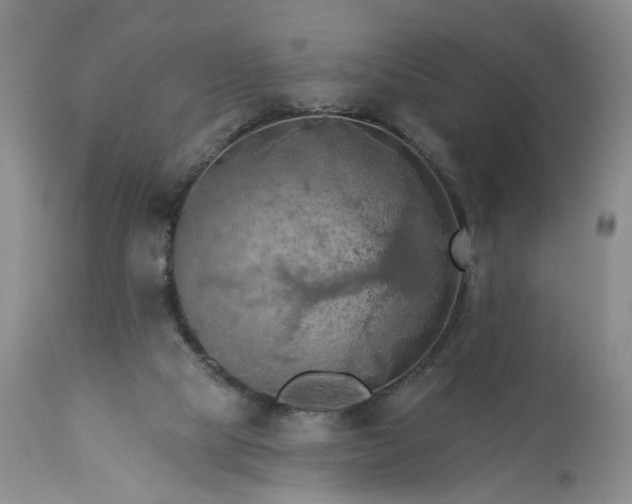 X0000113340065200909291040