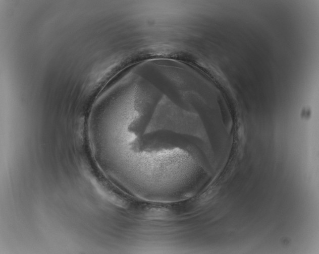 X0000113340066200909291040