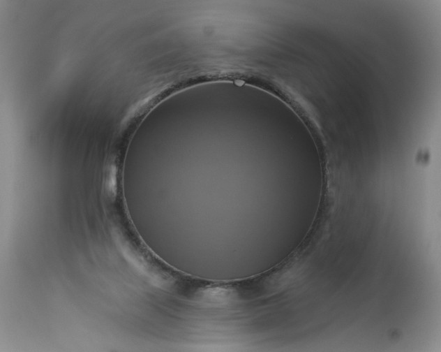 X0000113340067200909291040