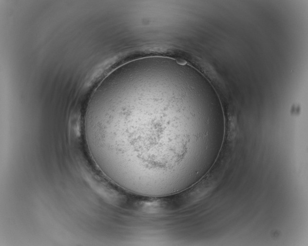 X0000113340068200909291040