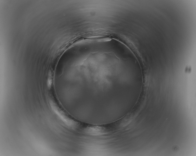 X0000113340069200909291040