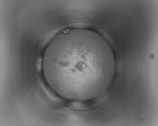 X0000113340070200909291040