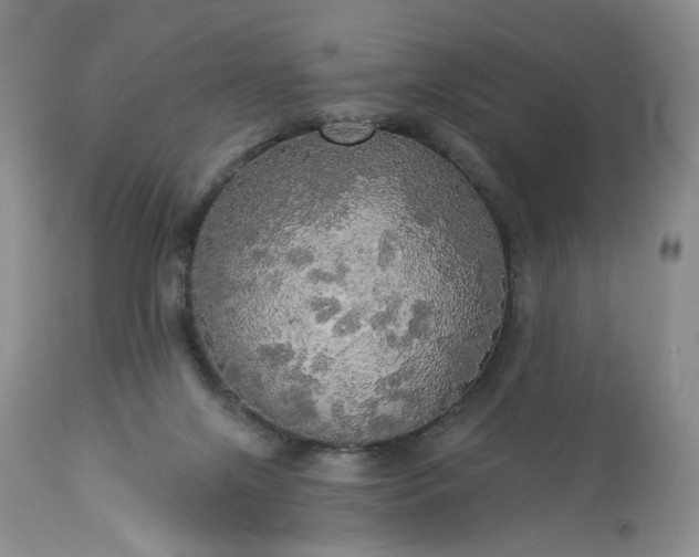 X0000113340071200909291040