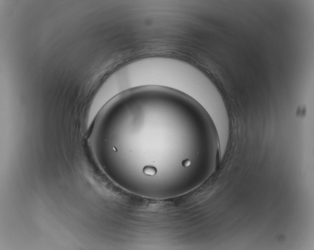 X0000113340072200909291040