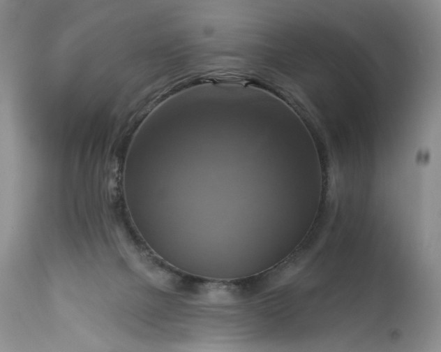 X0000113340073200909291040