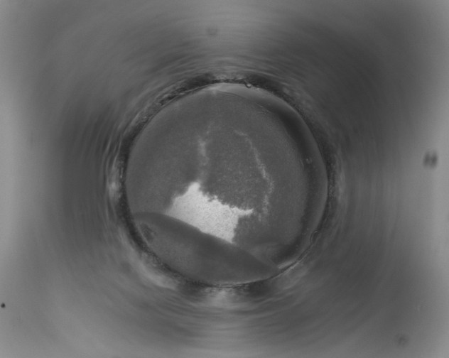 X0000113340074200909291040