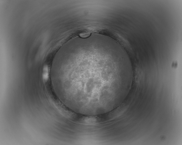 X0000113340075200909291040